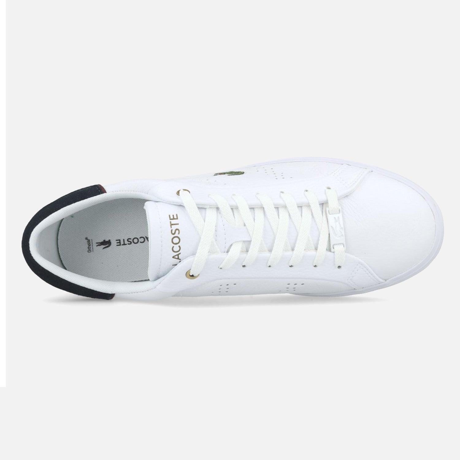 Mens white lacoste trainers sale best sale